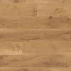 Panele Winylowe LVT VAN GOGH Design Flooring