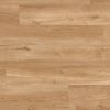 Panele Winylowe LVT VAN GOGH Design Flooring