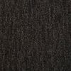 Balsan Avenue 790
